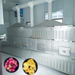 Mutifunctional Microwave Wood Dryer Machine 380V 50HZ 3PHASE