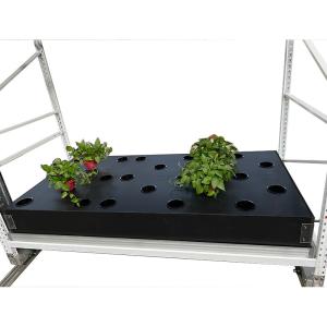 Quality PP 4ft*16ft Vegetable Planting Rack Customized Aeroponics Growing Systems wholesale