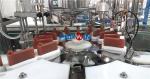 PW-GX515 Biochemistry Diagnostic Reagents Filling Production Line