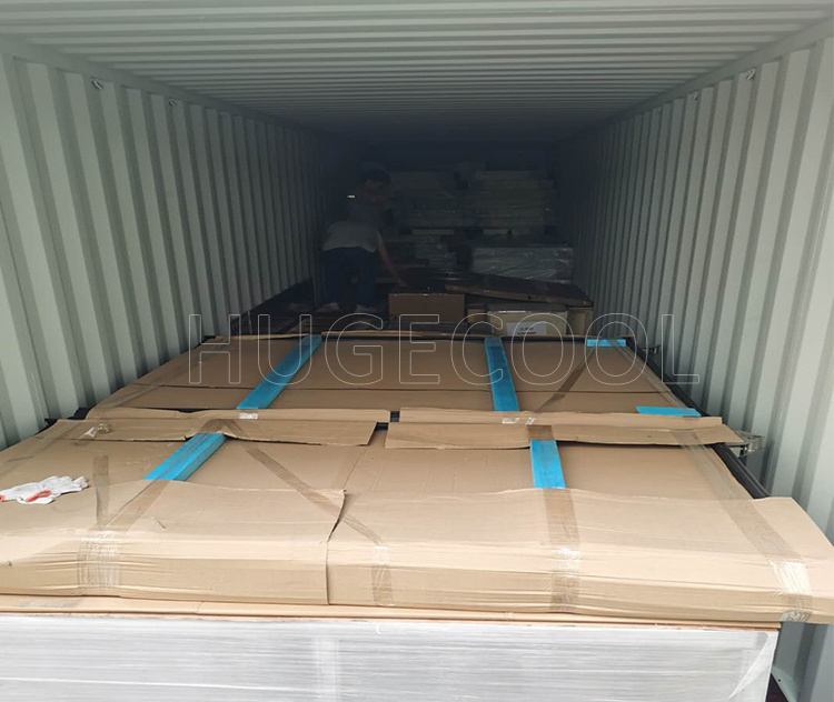 Negative Chamber Freezer Room for Frozen Meat, Chicken, Beef