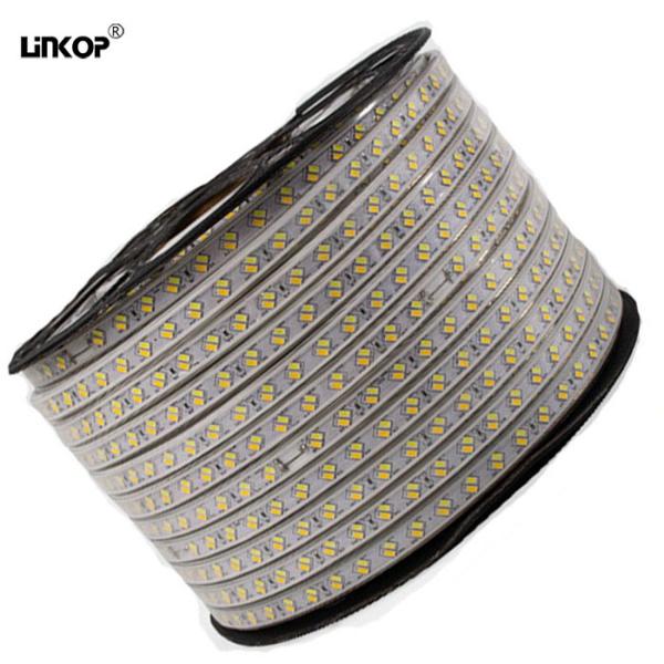 Hotel/Shopping Center Dual Color Dimmable Led Light Strip Input Voltage DC 220V