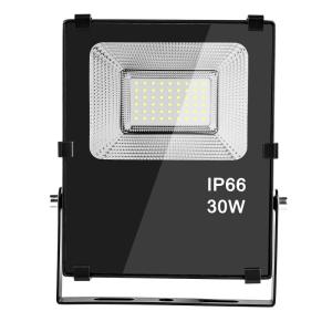 Quality 120° Beam Angle Driverless LED Floodlight AC 220 Volt 30 Watt 50000 Hours Life Time wholesale