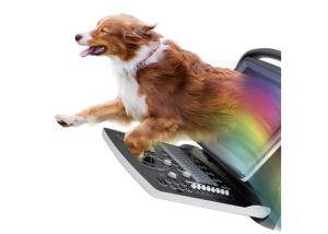 Quality Professional CW Ultrasound Medical Veterinary Equipment High Velocity Detection wholesale