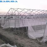 Agriculture Polyethylene Film Tunnel Greenhouse For Seedlings Vegetables