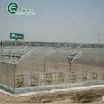 Multi-Span Agricultural Greenhouses CO2 Generator for Greenhouse