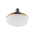 265V Indoor LED Light Bulbs
