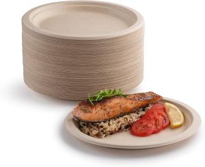 Quality Greaseproof Sugarcane Food Tray , Compostable Disposable Plates For Halloween wholesale
