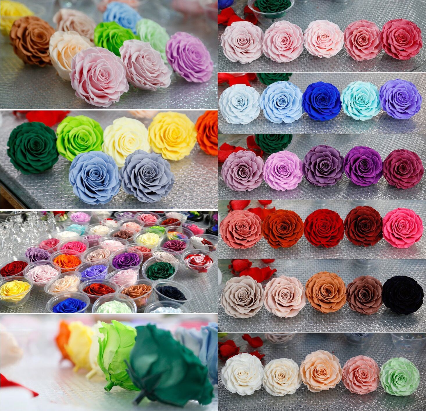 Factory wholesale real touch high quality multi color natural preserved roses at cheap price Christmas gift