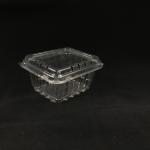 Eco Friendly Disposable Clear Plastic Blister Plastic Packaging Boxes 500g