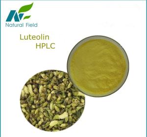 Quality Pure natural 98% Luteolin wholesale