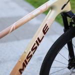 29 Inch MTB Mountainbike Carbon Fibre Hard Frame Mountain Bike Speed Bicicletas