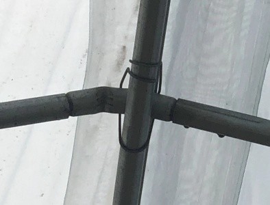 Hot Dip Galvanized Pipe High Tunnel Greenhouse Customizable Agriculture Greenhouse