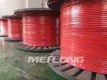 10000Psi Encapsulated Control Line Duplex 2507 FEP