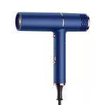 Professional Negative Ions Blow Dryer Compact With Concentrator