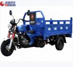 Climbing Petrol 2t 300cc Three Wheel Bike Motorcycle