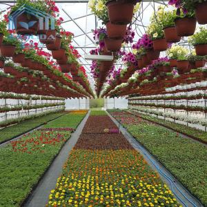 Quality Large Commercial Tunnel Greenhouse Agricultural 150 Micron Covering Material wholesale