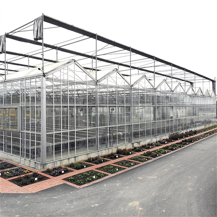 Multi Span Venlo Glass Greenhouse 140mm/H Capacity ISO9001 Certificated