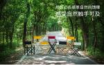 Outdoor wood relaxing make up chairs tall folding wooden director chair