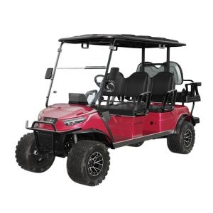 Quality Street Legal Golf Cart NL-JA4 2.G Electric Buggy for Sightseeing Club 10% Climbing Ability 30Km/h Max. Speed wholesale