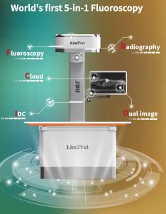 Quality 32KW Vet Medical Equipment Real Time Fluoroscopy Machine DR wholesale