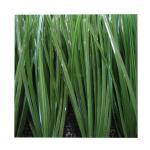 UV Resistance 50mm Synthetic Turf For Football Fields