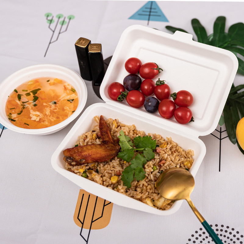 Eco Friendly Biodegradable Clamshell Boxes , 3 Compartment Disposable Food Containers