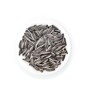 Quality Amazon hot sale Wholesale best Quality China Manufacturer Sunflower seeds 363 wholesale