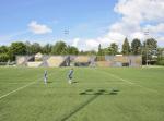 40mm 50mm Outdoor Lawn Sports Turf Grass Soccer Field Synthetic