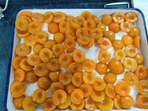 Quality Store In A Cool Place Vitamin C Fortified Preserved Apricot Halves wholesale