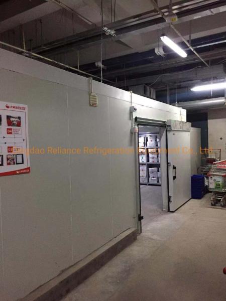 Blood Suitable Cold Storage Chiller/Freezer Room Air Cooled Cooling Capacity