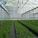 Ventilation Vents for Optimal Growth of Tomatoes and Other Vegetables in