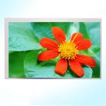 10.1inch RGB Interface 1000cd/M2 Resistive Touch Panel