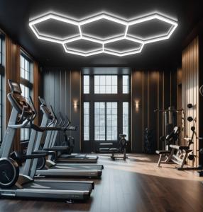 Quality LED Hexagon Light Super Brightness DIY For Garage, Fitness Room wholesale