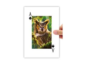 Quality 5.6x8.7cm Lenticular Printing 3D Poker Card 4c On Backside Eco - Friendly wholesale