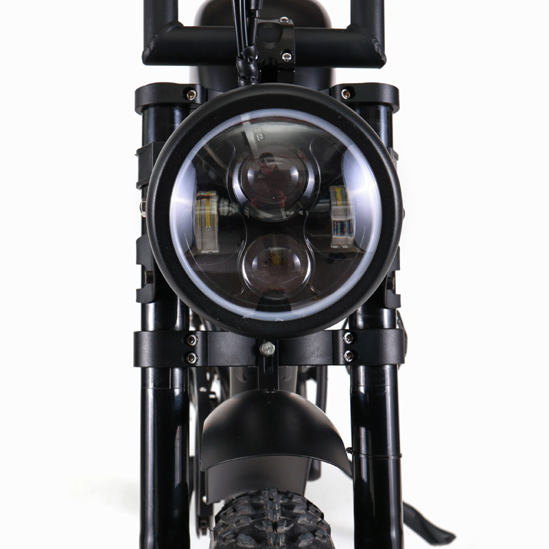 Brushless Hub Motor 7 Speed Electric Road Bicycle for Smooth and Fast City Riding