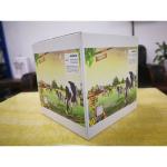 48pcs Single Pass Inkjet Printer