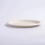 100 Compostable Oval Fruit Food Paper Bagasse Sugarcane Biodegradable Plates