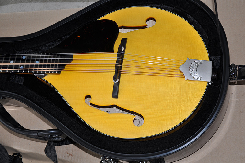 Factory custom Handmade custom advanced 8 strings mandolin electric guitar with ebony fretboard