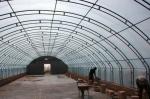 Film Cover Single Layer Agricultural Greenhouse for Sustainable Farming
