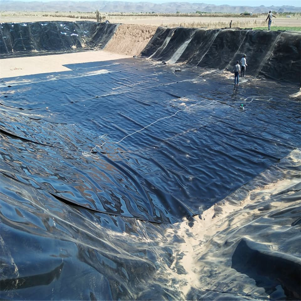 1mm 0.5mm 1.5mm 2mm Hdpe Geomembrane for Plastic Fish Shrimp Pond Liner Design Style