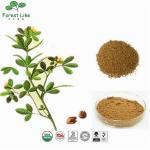 Fenugreek Seed / Trigonella Foenum-Graecum Extract Powder 50% Saponins