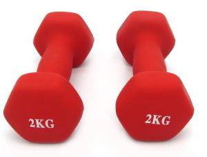 Quality 1kg 2kg 3kg 4kg 5kg 6kg 7kg 8kg 9kg 10kg Women Fitness Vinyl Dipping Dumbbell wholesale