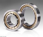 C4 C5 V3 Open FAG Roller Bearing Japan Stainless Steel Bearing NU310ECP