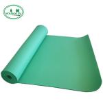 NBR Gymnastic 1.2cm Non Slip Fitness Mat For Training Pilates