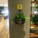 Green Flower Stand Hanging Wall Indoor Balcony Hanging Semi-Circular Flower