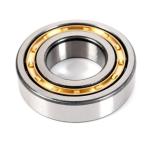 N232 Cylindrical Roller Bearings N205 N220 N200 Series