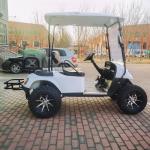 2 Seat 20mph Electric 72V Lithium Golf Cart Battery For Golf Club