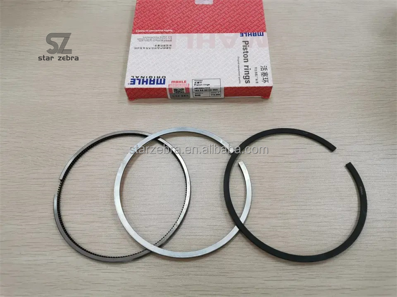Engine Parts for 6CT8.3 6D107 6D102 Piston Ring from Shanghai Manufacturing Plant