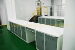 Resist strong alkalies laboratory work benches for food company