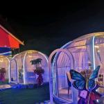 PC Polycarbonate 6m Geodesic Dome Transparent Tent For Hotel